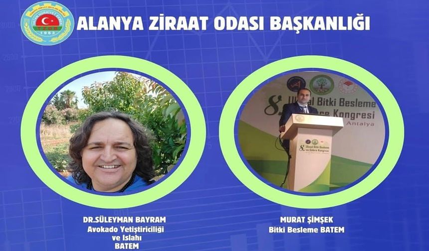 Alanya’da avokado üreticilerine eğitim