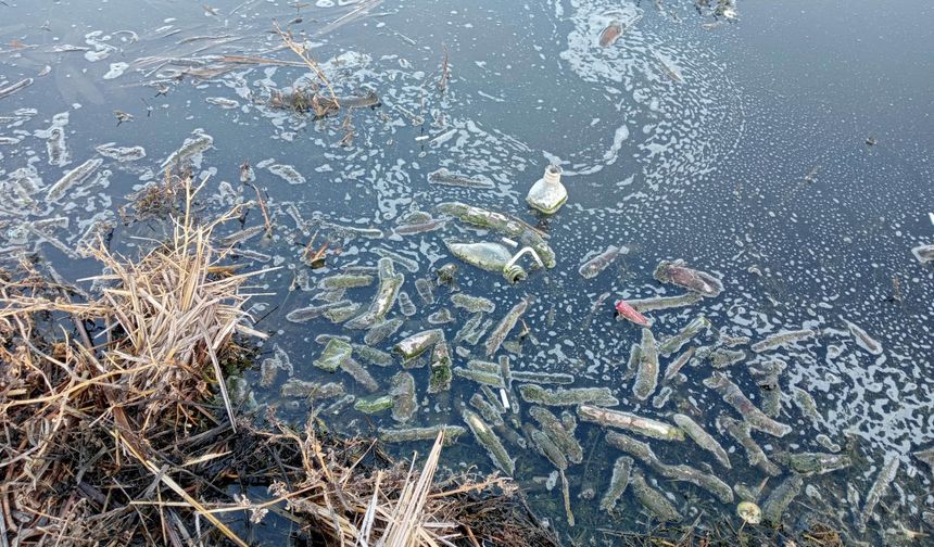 'Atıklar Eber Gölü'ndeki yaşamı yok etti'