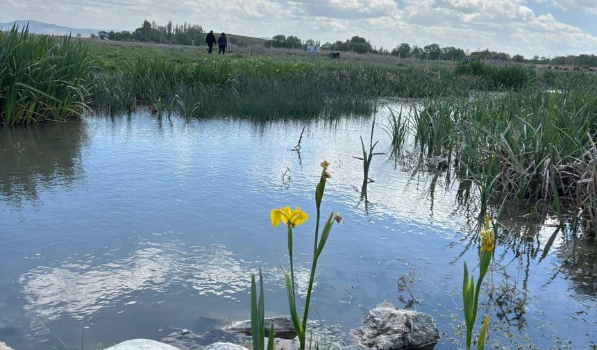 Eber Gölü'ne 'giriş yasağı' kaldırıldı