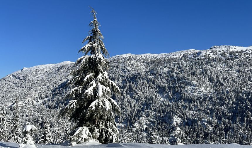 Alacabel'de hayran bırakan kar manzarası