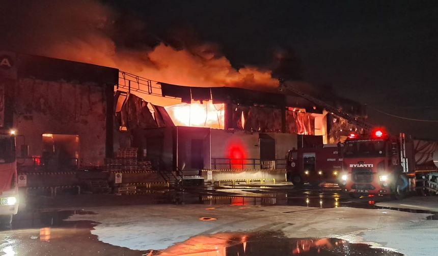 Antalya'da soğuk hava deposunda yangın