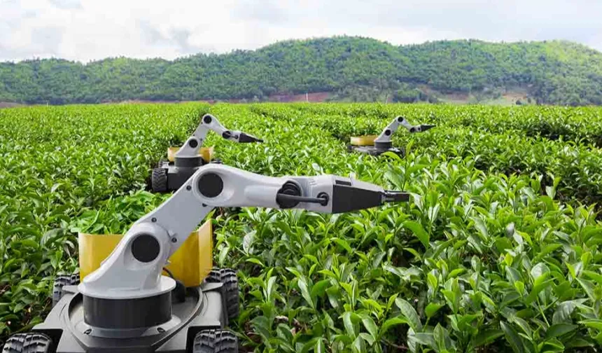 Kamu Teknoloji Platformu 2026'yı 'Kamusal Zekâ Yılı' ilan etti