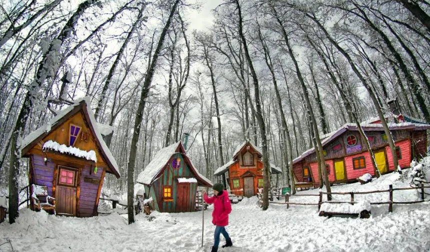 Ormanya'da kartpostallık kış manzaraları