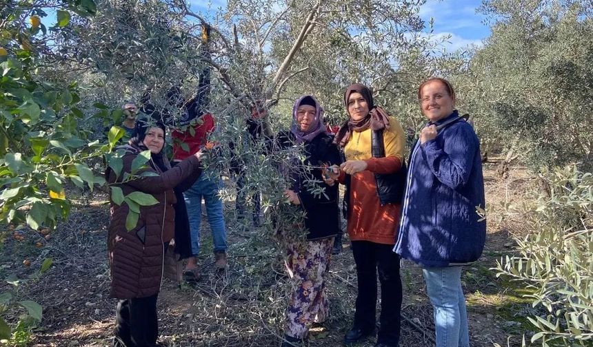 Budama eğitimi tamamlandı