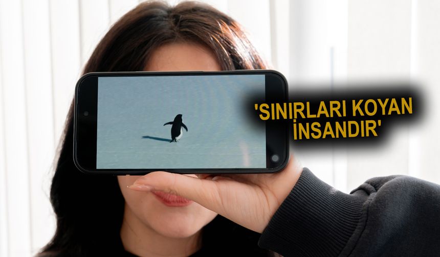 'Nihilist penguen'e kendi yalnızlığımızı yükledik'