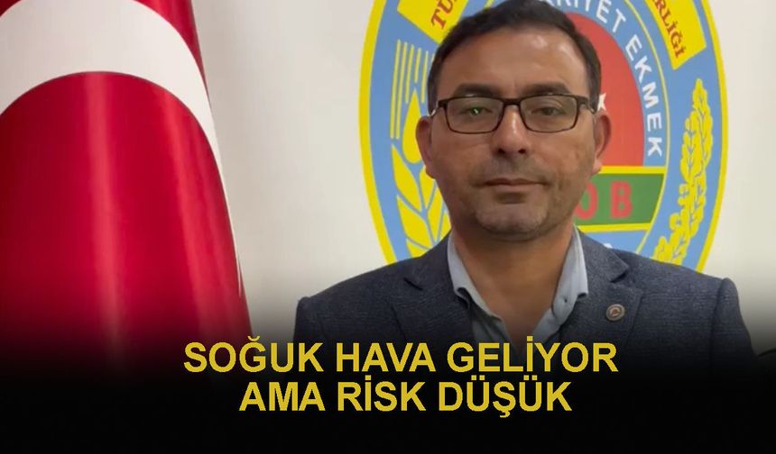 Alanya'da zirai don tehlikesi yok