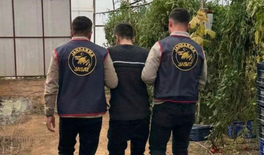 20 Yıl hapis cezası bulunan firari JASAT tarafından yakalandı