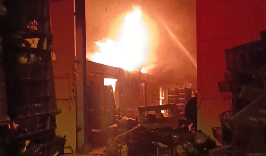 Muz paketleme ve sarartma tesisinde yangın