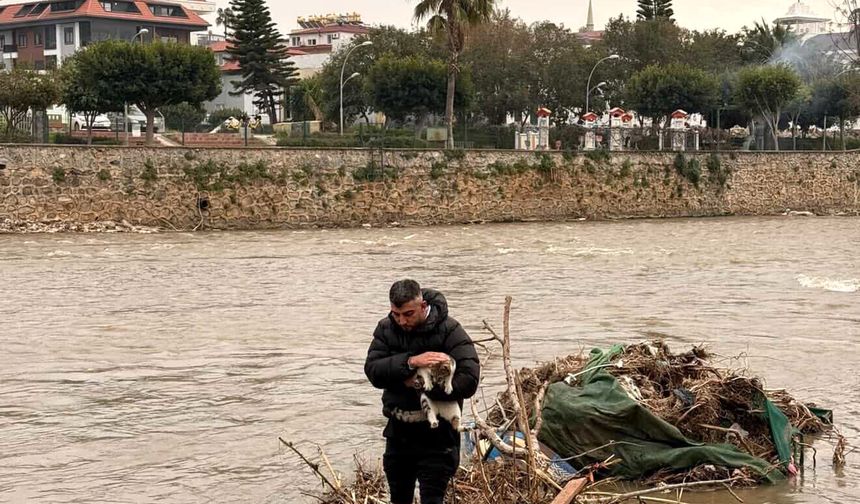 Alanya'da çayda mahsur kalan kedi kurtarıldı