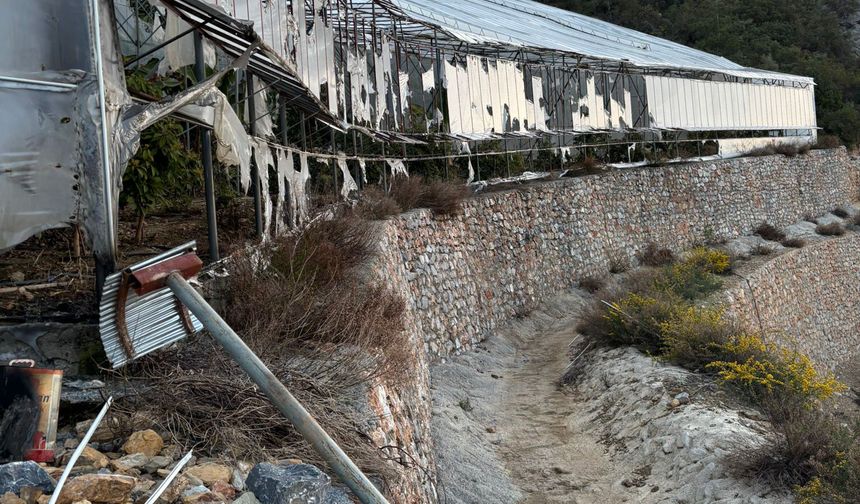 Alanya'da muz serası kundaklandı: 3 tutuklama