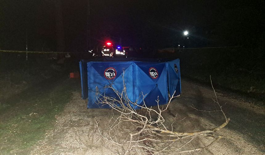 Kamyonet kasasından düşen kadın öldü