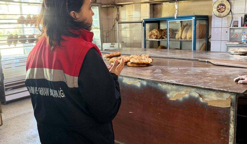 Serik'te gıda denetimleri