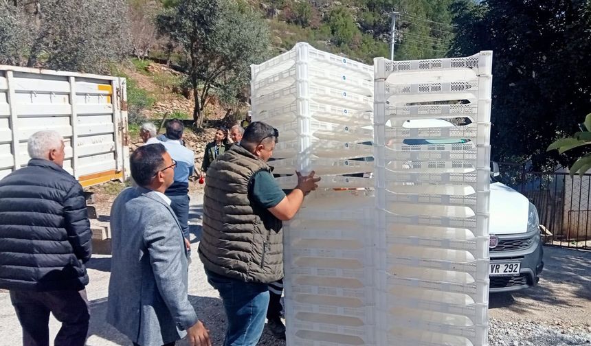 Alanya'da üreticilere ipekböceği besleme tablası desteği