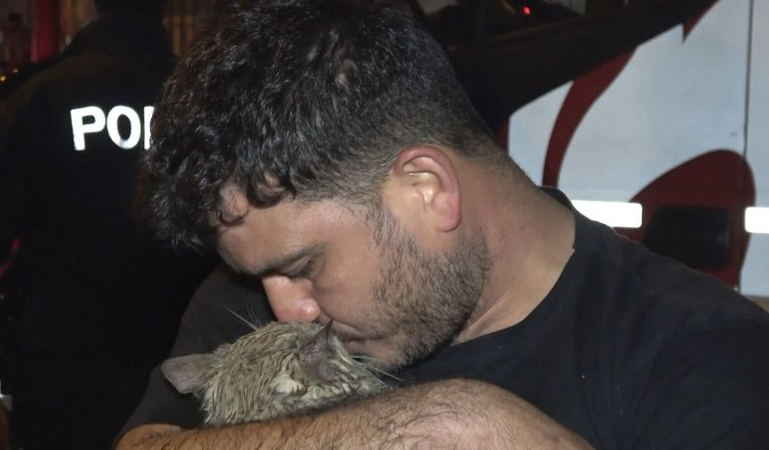 Yangında dairede mahsur kalan kedi 'Duman'ı itfaiye kurtardı
