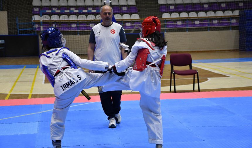 Yıldızlar tekvando müsabakaları tamamlandı