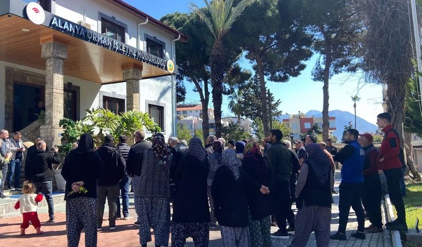 Alanya'da vatandaşlar ile Orman Müdürlüğü karşı karşıya geldi