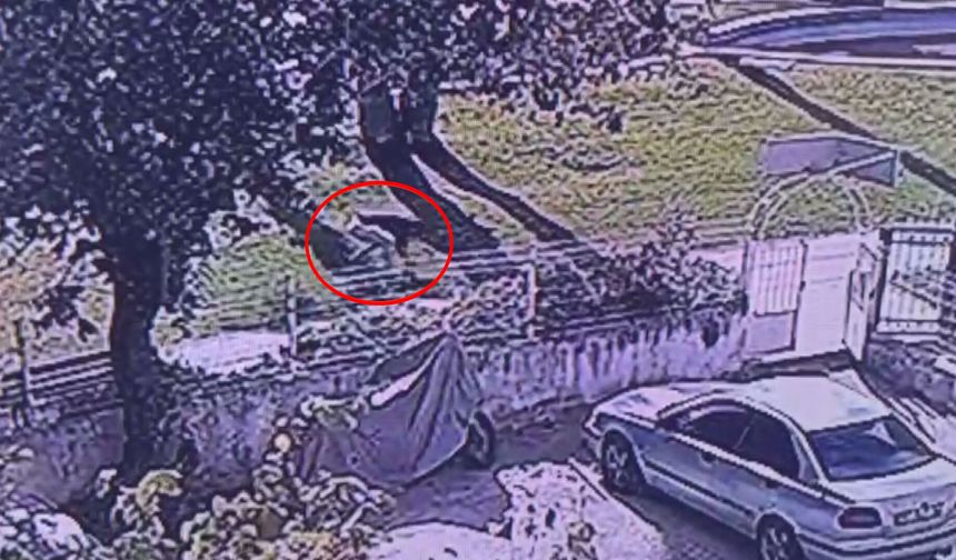 Parktaki cinayetin sanığı: Herhangi bir husumetim yoktu