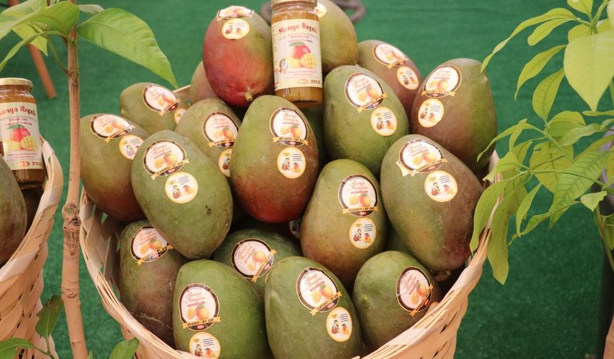 Gazipaşa Tarım Fuarı için geri sayım başladı