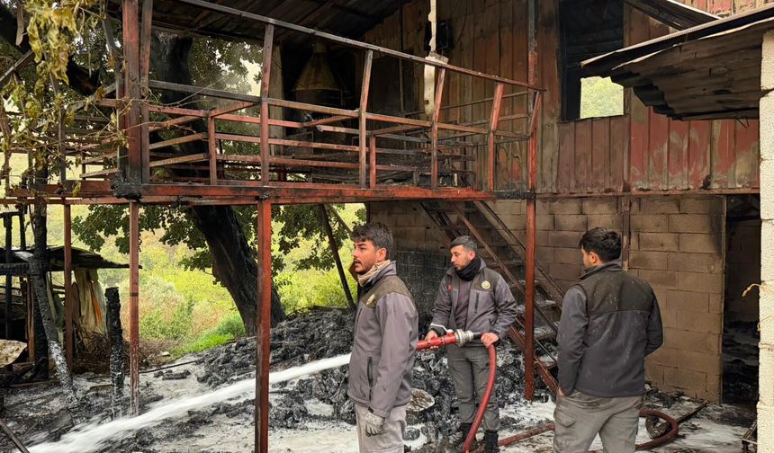 Alanya'da müstakil ev alevlere teslim oldu