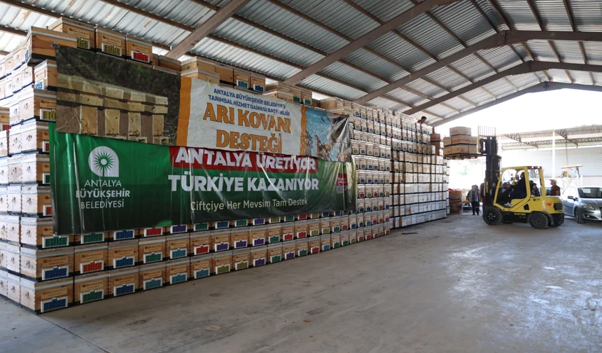 Antalya Büyükşehir'den arıcılara kovan desteği