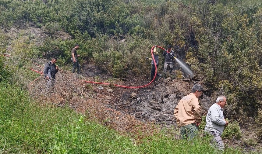 Alanya'da makilik yangını büyümeden söndürüldü