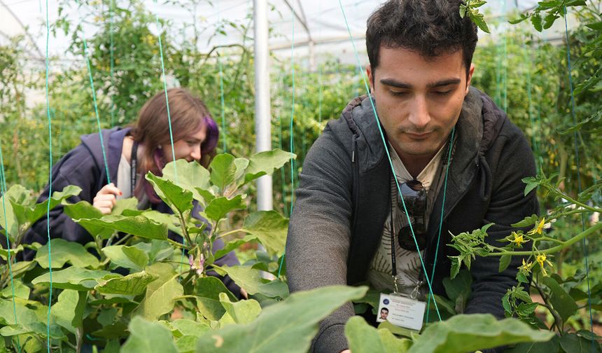 Psikiyatri hastaları hem tedavi görüyor hem para kazanıyor