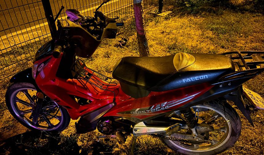 Alanya'da motosiklet ağaca çarptı: 1 ölü, 1 yaralı