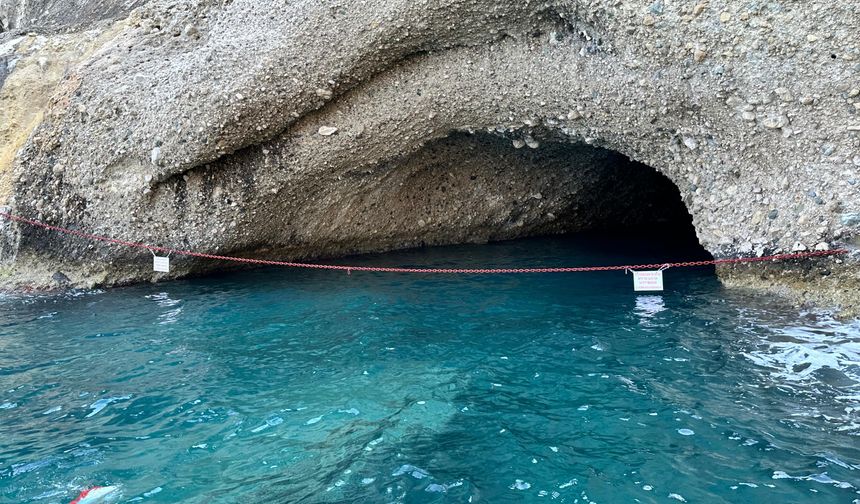 Antalya'da Akdeniz foklarının yaşam alanları koruma altına alınıyor