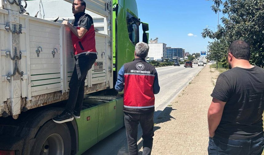 Hayvan nakil araçlarına sıkı denetim