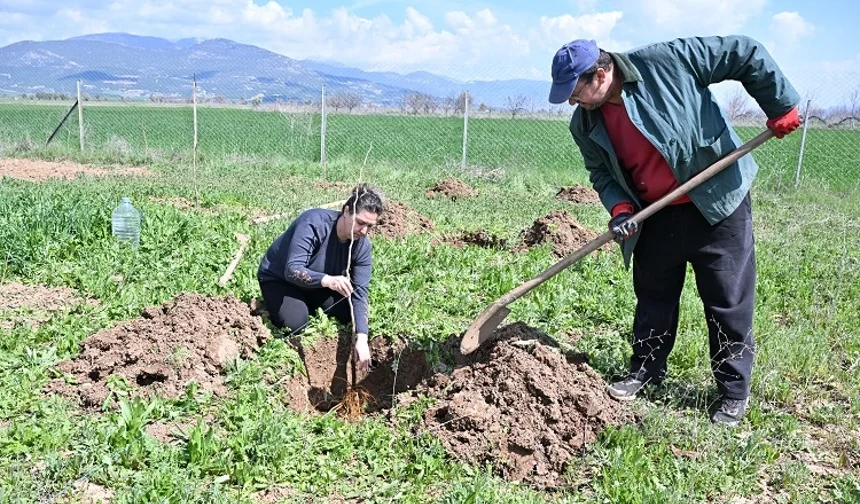 Antalya Büyükşehir ipek böceği yetiştiriciliğini yaygınlaştırıyor