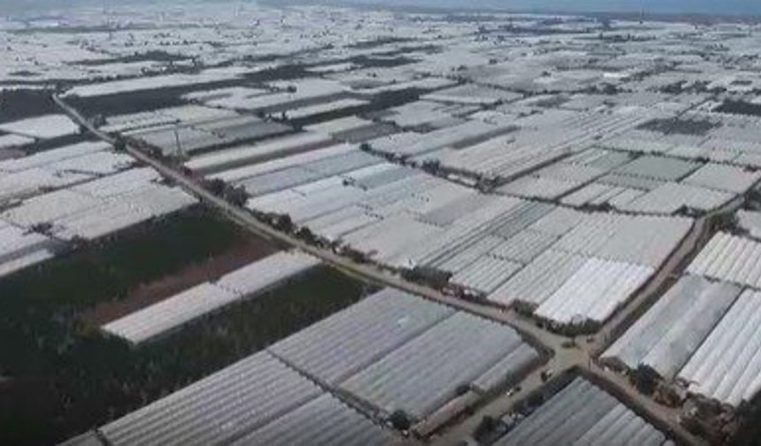 16 bin 716 'topraksız çiftçi', toprak sahibi oldu