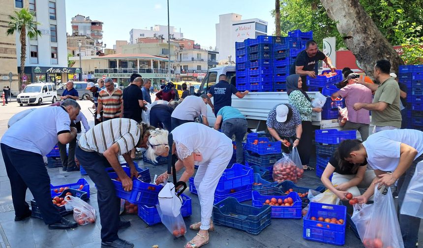 Antalya'da alıcı bulamadığı 4 ton domatesi ücretsiz dağıttı