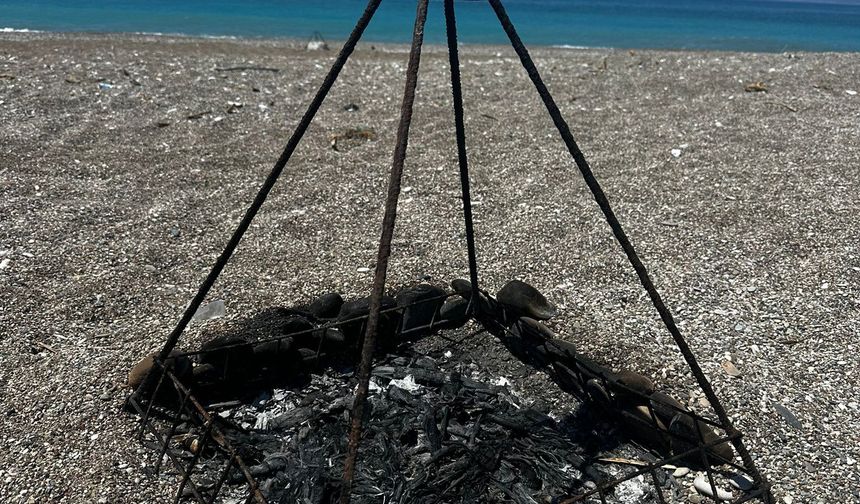 Deniz kaplumbağası koruma demirinin ortasında ateş yaktılar: İnceleme başlatıldı