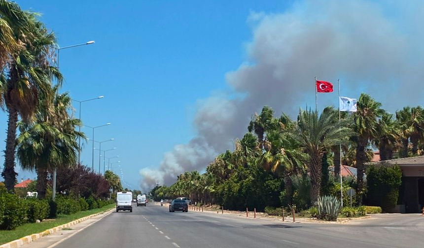 Antalya'da orman yangını