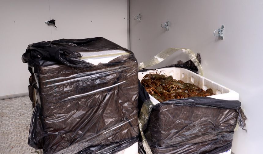 Terminalde ele geçirilen 90 kilogram kerevit imha edildi