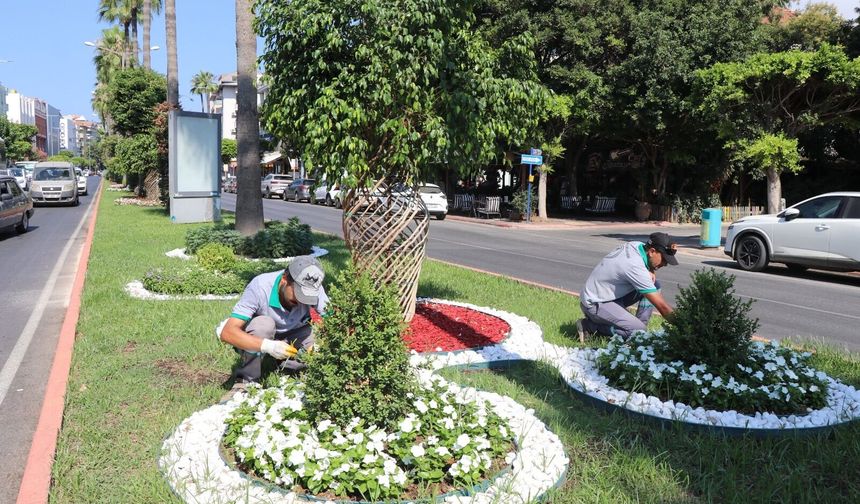 Alanya'da yeşil alanlara yoğun mesai