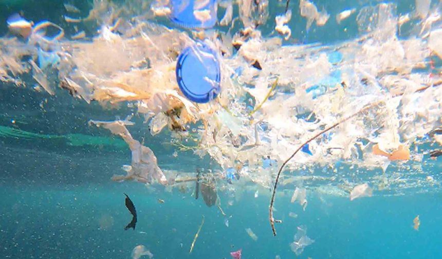 'Akdeniz'deki mikroplastik sorunu çözülmezse turizm sekteye uğrar'