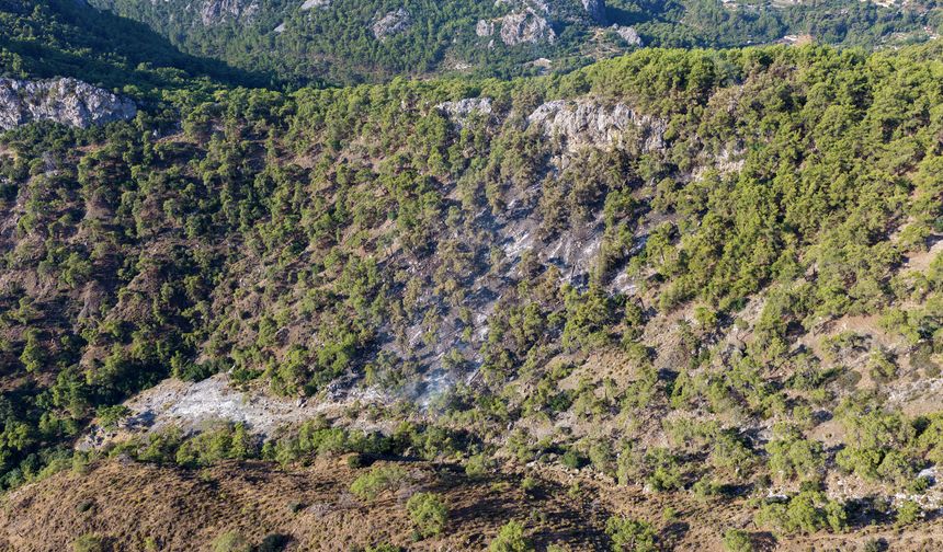Antalya'daki orman yangını, 14 saat sonra kontrol altına alındı