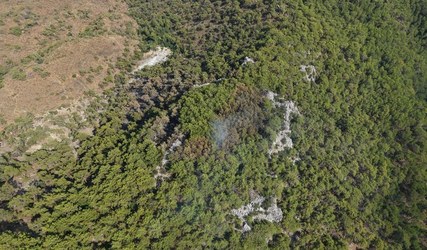 Antalya Kemer'de orman yangını kontrol altında