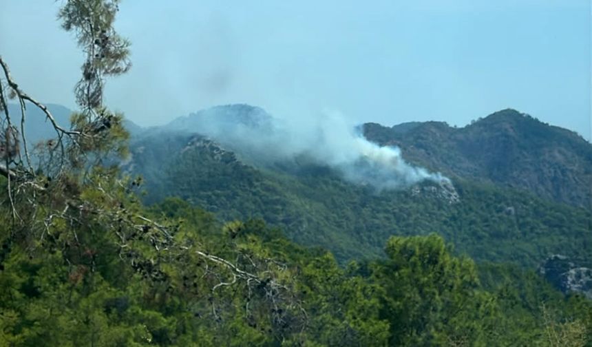 Antalya'da orman yangını