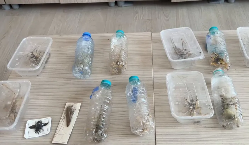 Nemrut'ta biyokaçakçılık operasyonu! 2 kişiye 1,4 milyon TL ceza