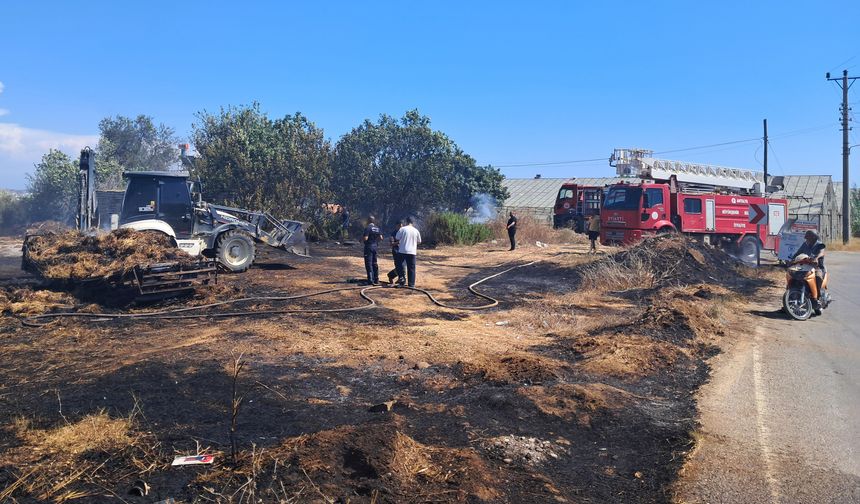Antalya Serik'te 3 mahallede zirai alan yangını