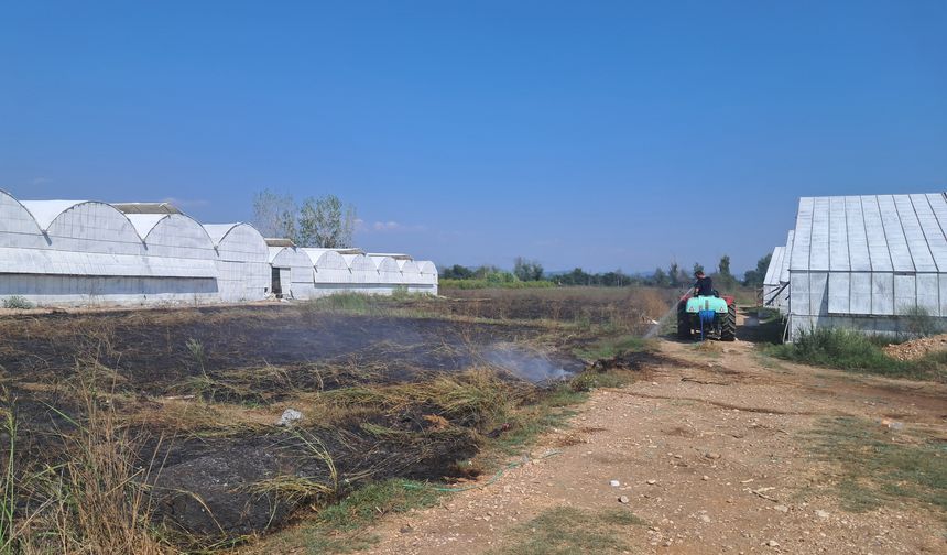 Antalya Serik'te otluk alanda yangın