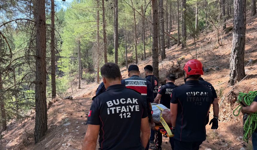 Sızgıla otu toplarken kayalıktan düşüp yaralandı