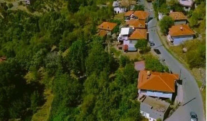 Alanya Mahmutseydi'de vatandaşlar çözüm bekilyor