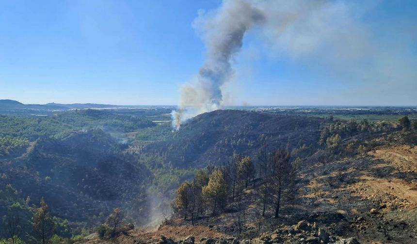 Antalya Serik'teki yangın kontrol altına alındı: 6 ev yandı