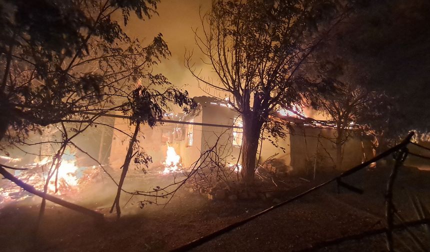 Antalya Serik'te orman yangını: Evler ve seralar yandı