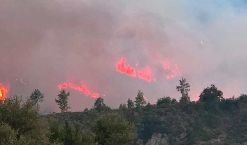 Antalya Serik'te orman yangınına müdahale sürüyor
