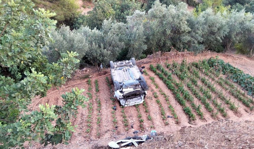 Gazipaşa'da ticari araç tarlaya uçtu: 2 yaralı