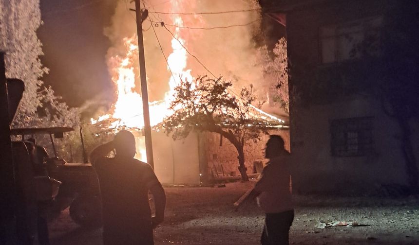 Besihanedeki yangında 4 inek öldü